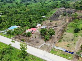  Land for sale in Chone, Manabi, Chone, Chone