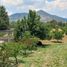  Land for sale in Zinapecuaro, Michoacan, Zinapecuaro