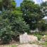  Terreno (Parcela) en venta en Cozumel, Quintana Roo, Cozumel