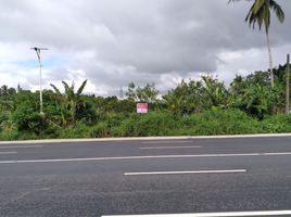  Land for sale in Alaminos, Laguna, Alaminos