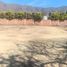  Terreno (Parcela) en venta en Chapala, Jalisco, Chapala