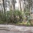  Land for sale in Cuenca, Azuay, Cuenca, Cuenca, Azuay