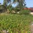  Land for sale in Mabini, Calabarzon, Mabini