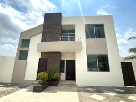 6 Habitación Villa en venta en Guayas, Daule, Daule, Guayas