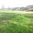  Land for sale in Valle, Cuenca, Valle