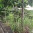  Land for sale in Liloan, Cebu, Liloan