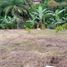  Terreno (Parcela) en venta en Quito, Pichincha, Quito, Quito, Pichincha