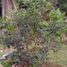  Terreno (Parcela) en venta en Quito, Pichincha, Quito, Quito, Pichincha