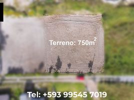  Terreno (Parcela) en venta en Cotacachi, Imbabura, Cotacachi, Cotacachi