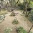  Land for sale in Huixquilucan, Mexico, Huixquilucan, Mexico, Mexico