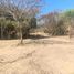  Terreno (Parcela) en venta en Chapala, Jalisco, Chapala