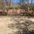  Terreno (Parcela) en venta en Chapala, Jalisco, Chapala