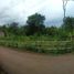  토지을(를) Purwakarta, 웨스트 자와에서 판매합니다., Darangdan, Purwakarta