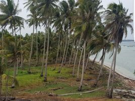  Terrain for sale in Kep. BangkaBelitung, Dendang, Belitung, Kep. BangkaBelitung