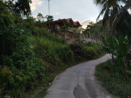  Land for sale in Catmon, Cebu, Catmon