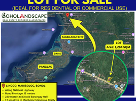  Land for sale in Bohol, Central Visayas, Maribojoc, Bohol