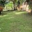  Land for sale in Cebu Central Visayas, Borbon