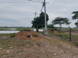  Land for sale in Samborondon, Guayas, Samborondon, Samborondon