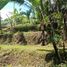  Terrain for sale in Payangan, Gianyar, Payangan