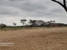  Land for rent in Daule, Guayas, Daule, Daule