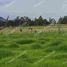 8 Bedroom House for sale in Nemocon Cundinamarca, Nemocon
