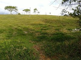  Terreno (Parcela) en venta en Santander, Floridablanca, Santander