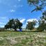  Land for rent in Zapopan, Jalisco, Zapopan, Jalisco