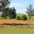  Land for sale in Llanquihue, Los Lagos, Puerto Varas, Llanquihue