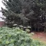  Terreno (Parcela) en venta en Chile, Viña del Mar, Valparaíso, Valparaíso, Chile