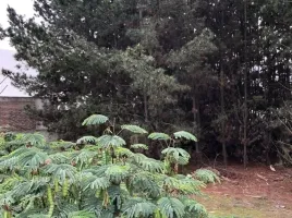  Terreno (Parcela) en venta en Chile, Viña del Mar, Valparaíso, Valparaíso, Chile