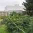  Terreno (Parcela) en venta en Chile, Viña del Mar, Valparaíso, Valparaíso, Chile