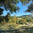  Land for sale in Chile, Osorno, Osorno, Los Lagos, Chile