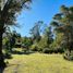  Land for sale in Chile, Osorno, Osorno, Los Lagos, Chile