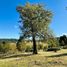  Land for sale in Chile, Osorno, Osorno, Los Lagos, Chile