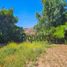  Land for sale in Limari Coquimbo, Ovalle, Limari, Coquimbo