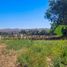  Land for sale in Limari Coquimbo, Ovalle, Limari, Coquimbo