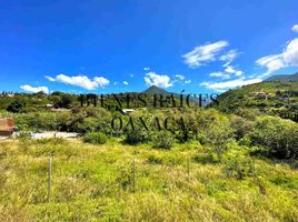  Land for sale in Del Centro, Oaxaca, Del Centro