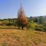  Land for sale in Del Centro, Oaxaca, Del Centro