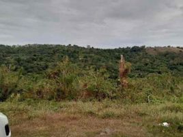  Terreno (Parcela) en venta en Hermosa, Bataan, Hermosa