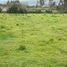  Land for sale in Quiroga, Cotacachi, Quiroga