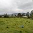  Land for sale in Cotacachi, Imbabura, Quiroga, Cotacachi