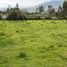  Land for sale in Cotacachi, Imbabura, Quiroga, Cotacachi