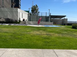 2 Schlafzimmer Appartement zu vermieten in Queretaro, Queretaro, Queretaro, Queretaro