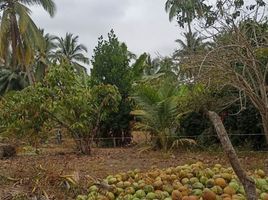  Haus zu verkaufen in Portoviejo, Manabi, Riochico Rio Chico