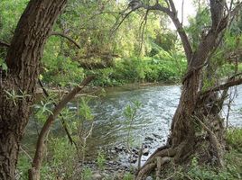 Terreno (Parcela) en venta en Jose Azueta, Guerrero, Jose Azueta