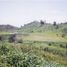  Terreno (Parcela) en venta en Jose Azueta, Guerrero, Jose Azueta