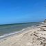  Grundstück zu verkaufen in Chicxulub Pueblo, Yucatan, Chicxulub Pueblo