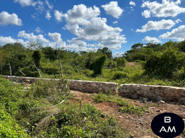  Grundstück zu verkaufen in Conkal, Yucatan, Conkal