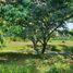  Terreno (Parcela) en venta en Tagaytay City, Calabarzon, Tagaytay City