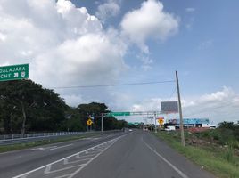  Land for sale in Cuauhtemoc, Colima, Cuauhtemoc, Colima